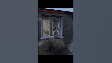 DayZ PvP requires excellent vision in spotting enemies