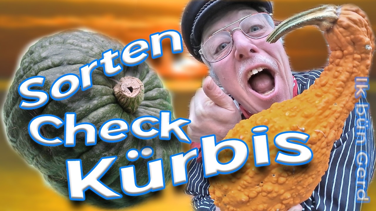 Sortencheck Kürbis: 10 RARE Sorten für deinen Garten! Mit Ostfriesen-Anekdote: Das Kürbis-Duell! 🤣