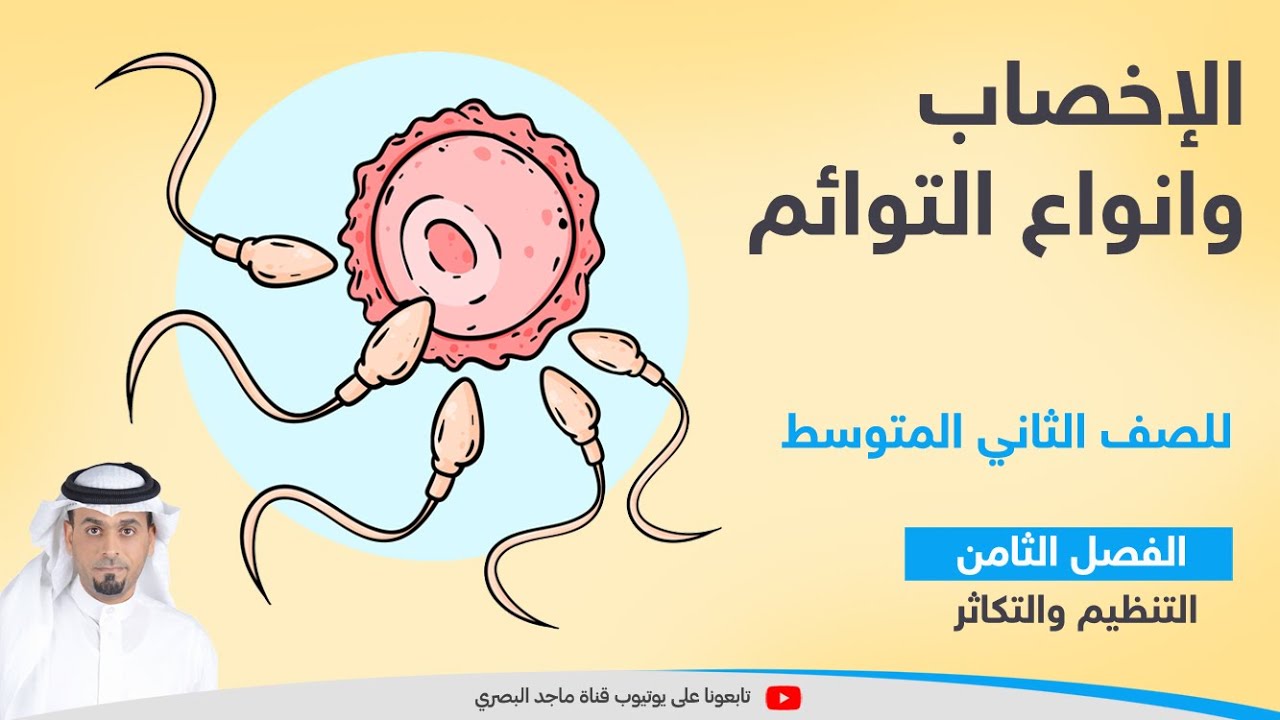 الإخصاب - أنواع التوائم