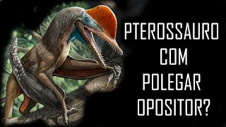 PTEROSSAURO COM POLEGAR OPOSITOR (Kunpengopterus antipollicatus)