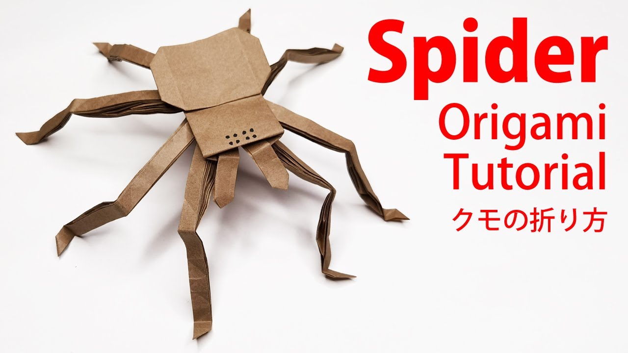 Origami Spider Paper Spider 折り紙 クモ 蜘蛛 折纸 摺紙 พ บ 종이접기 Papiroflexia 趣事