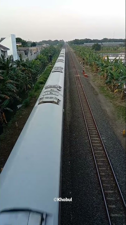 Kereta Api Kaligung Sore melintas di bawah Fly Over Graha Padma #shorts #keretaapi
