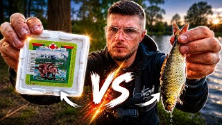 Aal ANGELN mit Tauwurm und Köderfisch mit Erfolg - Aalangeln2026 am Waldsee mit Grundmontage/Pose