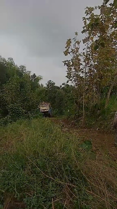 sampai jumping bolo trucknya #trukoleng #automobile #fypシ゚viral #trendingsound #storywa #fypage