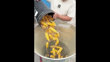 High Efficiency Feed Pellet Machine – Ideal for Livestock Farmers!#youtubeshorts #pelletmill