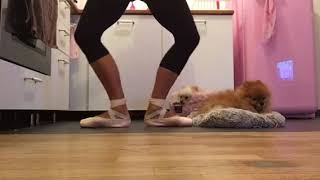 Download Exercices De Pointes Video MP3 Exercices De Pointes