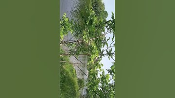 can you guess what that is? go Cambridge fire department... #speedboat #boat #hoverboard