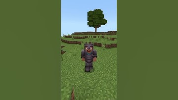 Minecraft Noob vs Pro vs Hacker in selecting cute animal? #shorts #minecraft