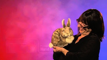 Folkmanis® Cottontail Rabbit Puppet Demo