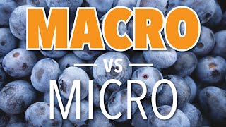 Micro vs. Macro - A Crash Course | Balance & Bullshit, Ep. #4, feat. HipsterMermaid