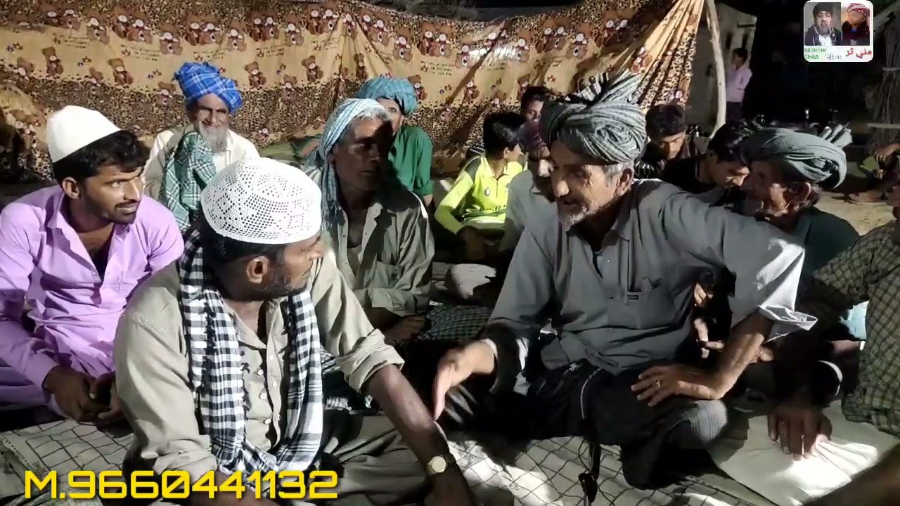 सिंधी कचारी, सिंधी गुजारत ,,,मिठी थर 1192