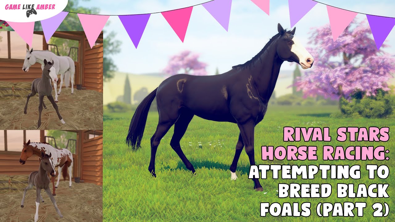 Rival Stars Horse Racing attempting to breed black foals part 2 YouTube