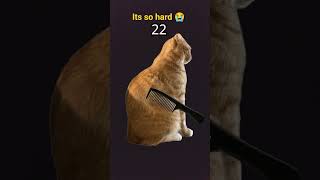 #funny #trending #butifyoucloseyoureyes #roblox #transition