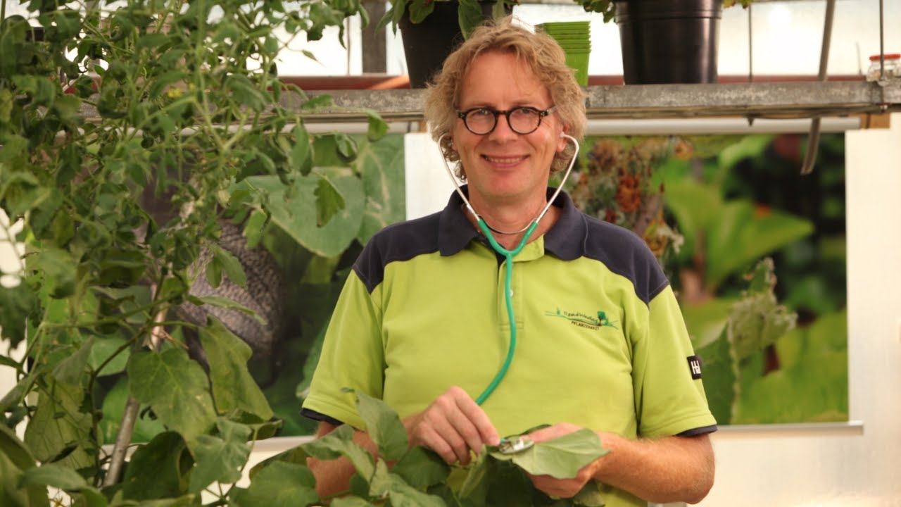 Sprechstunde fr gesunde Pflanzen von den Gartentrumen