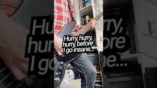 RAMONES - "I Wanna Be Sedated" (bass cover) #ramones #basscover #punk