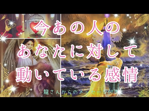 神展開あり❣️😯愛が溢れている方や葛藤を超えて進化しているお氣持ち届いています💫【今あの人のあなたに対して動いている感情💞】3択CardReading