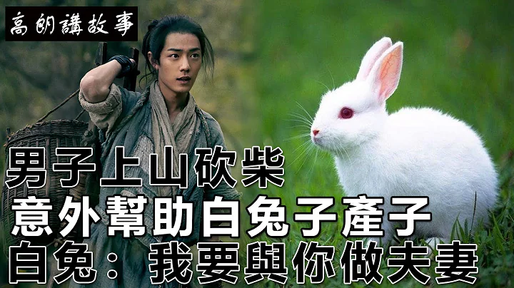 民间故事：男人上山砍柴，意外帮助兔子产子，兔：我要与你做夫妻｜高朗讲故事 - 天天要闻