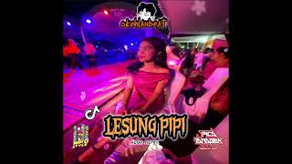 Dj lesung Pipi   Niko Style okehlanbeat Fyp Remix 2k25 