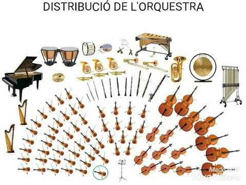 L'orquestra simfÃ²nica i els seus instruments - YouTube