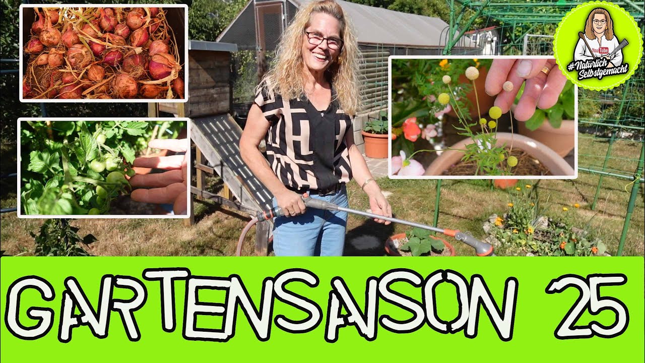 Gartenrundgang, was läuft gut / schlecht, ernten- aussäen -pflanzen