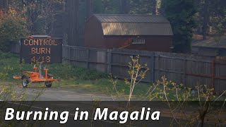 A Major Burn in Magalia