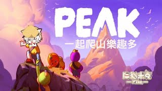 20250625｜米克很愛玩｜PEAK｜今天跟朋友們爬山看看