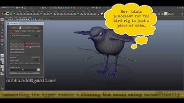 as_HyperPoint (Auto Bird Rigging) : Auto Joints Placer