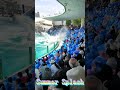 サマースプラッシュ凄すぎ~🥰 #Shorts #鴨川シーワールド #サマースプラッシュ #シャチ #kamogawaseaworld #orca #killerwhale