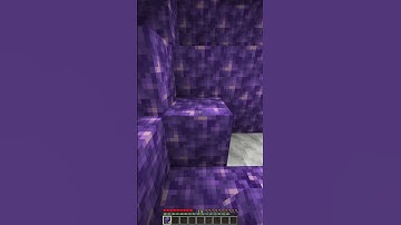 This Minecraft video is NOT a loop...