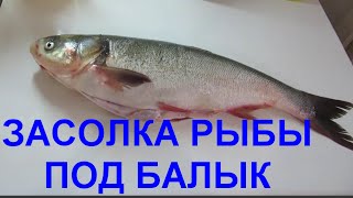 ЗАСОЛКА РЫБЫ ПОД БАЛЫК .КАК ПРИГОТОВИТЬ БАЛЫК ИЗ РЫБЫ(ЗАСОЛКА РЫБЫ ПОД БАЛЫК .КАК ПРИГОТОВИТЬ БАЛЫК ИЗ РЫБЫ.Этот рецепт позволяет хранить рыбу достаточно долго..., 2015-03-28T05:31:37.000Z)