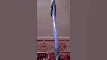 مشايه من النهر الى النحر 