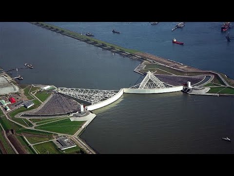 Video: Cómo Llegar Al Festival Del Arenque En Los Países Bajos