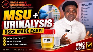 URINALYSIS MADE EASY | MSU Collection, Dipstick Testing & Interpretation for UK NMC OSCE