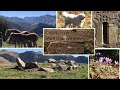 Randonnée Pyrénées : Mail de Soupène - La lande aux cromlechs - Benqué &amp; Luchon - Sentiers d’Emilie