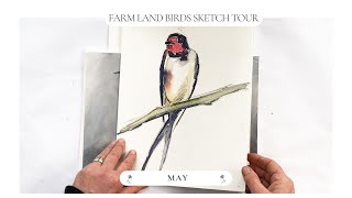 Farm land birds sketch tour