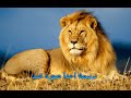 آخذا صورة عبد آخذا صورة عبد