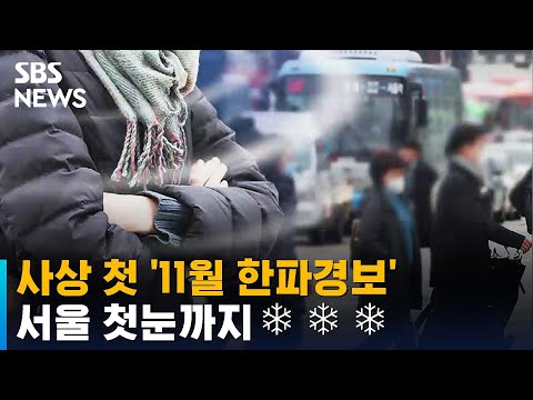 [날씨] 사상 <strong>첫</strong> &amp;#39;11월 한파경보&amp;#39;…서해안 중심 <strong>눈</strong> 소식 / SBS