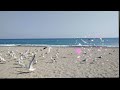 #바다의여인 #사월과오월 #희망  #사랑 #7080