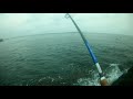 LIVE BAIT FISHING in Goa,India