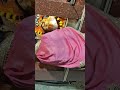 🔱OM KAALL BHAIRAVAY NAMAH🔱🙏🏻🙏🏻🥺🥺🥺🥺🥺