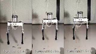 Design and Experimental Verification of a Jumping Legged Robot for Martian Lava Tube Exploration