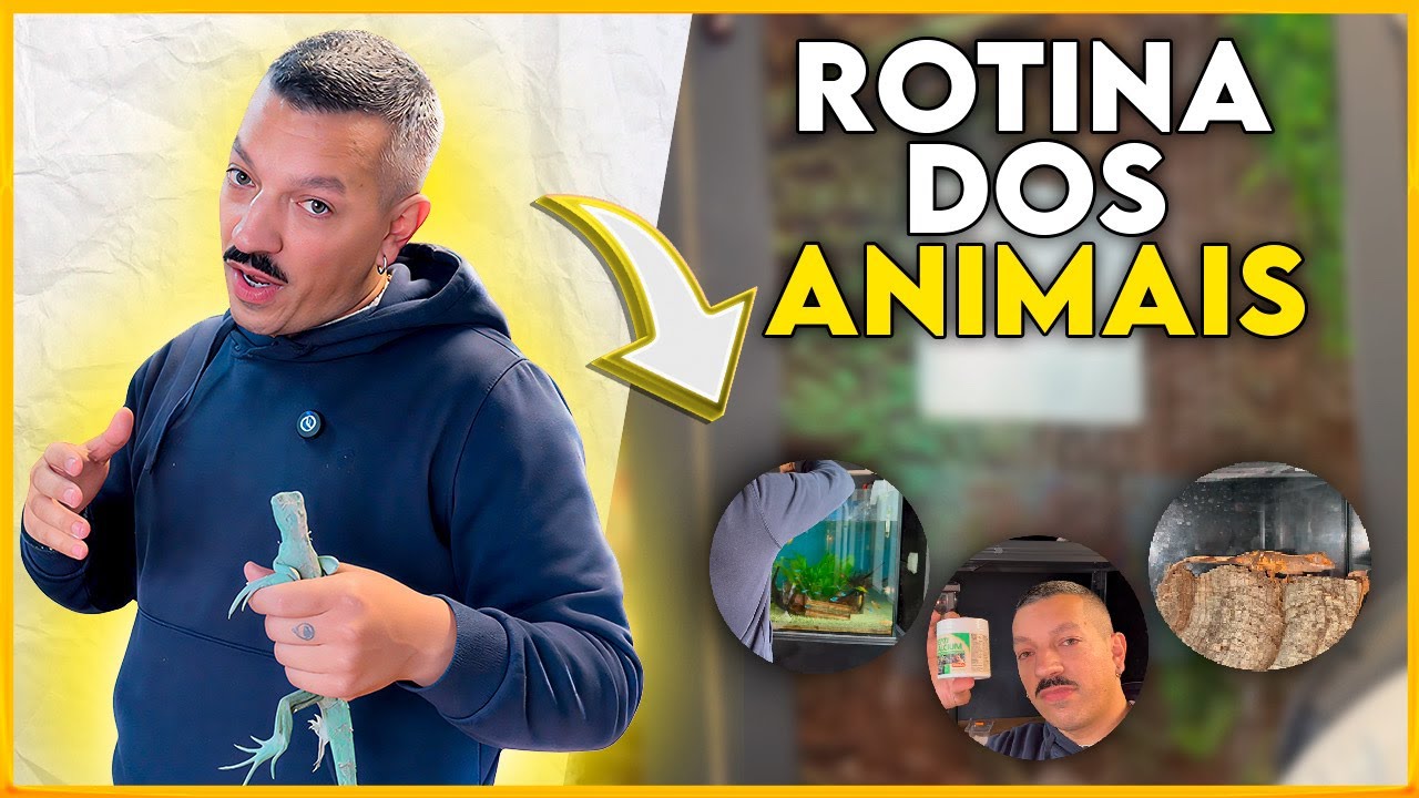ROTINA E ALIMENTAÇÃO DOS MEUS ANIMAIS! EUAKSOU SELVAGEM