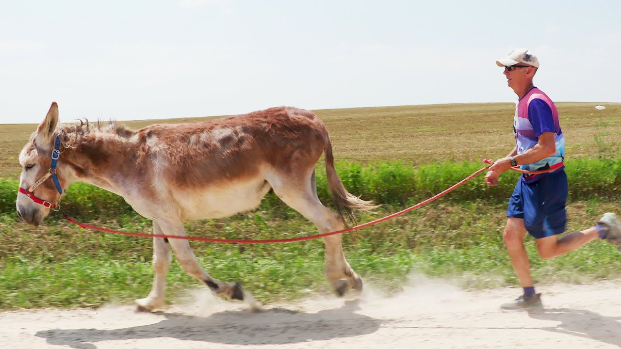 Wisconsin Life | Burro Racing - YouTube