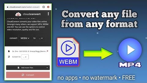 WEBM to MP4 converter website 😱 • Convert any file from any format to any format (no app installing)
