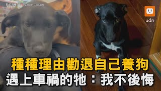 種種理由勸退自己養狗  遇上車禍的牠我不後悔狗寵物催淚暖心浪浪