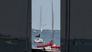 Delta Airline Lands at Boston Logan international Airport #aviation