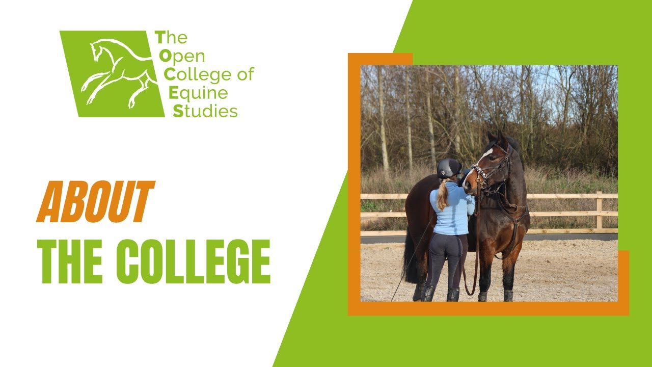 About The Open College of Equine Studies YouTube