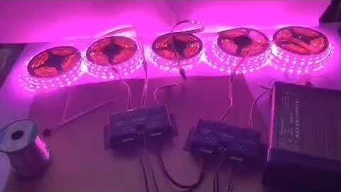 sp901E  signal amplifier support SPI  Lighting ,via master sp107e sp601e sp608e sp105 ect