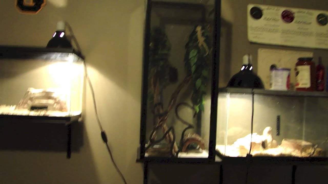 lizard skin grips Expo Pickups and shoutout