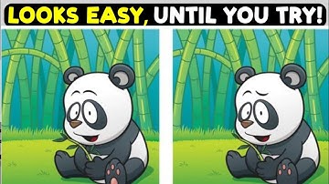 Can YOU Spot All 3 in 90 Seconds? Most People Fail 😳